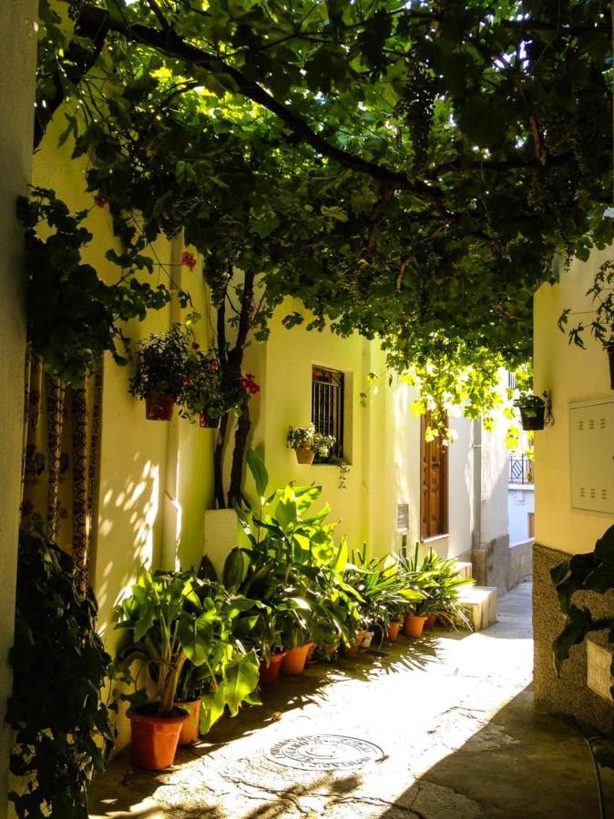 Casa Corasol, A Cozy, Comfy, 2Br House- Panoramic View And Rooftop Canar Eksteriør billede